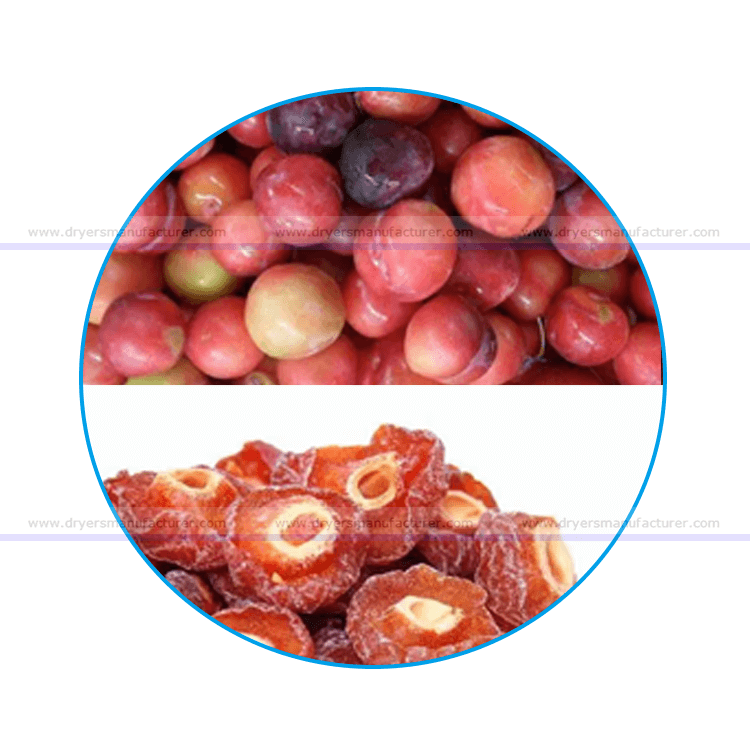 plum dryer plum drying machine,plum dehydrator,plum dehydrating machine